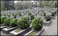 PA110543.JPG