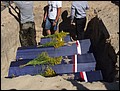 DSCF3143.JPG